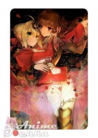 Fate Extra 27
